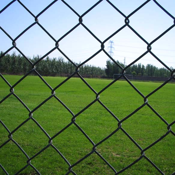 勾花鐵絲網圍欄的用途圖片1 勾花鐵絲網圍欄的用途圖片1