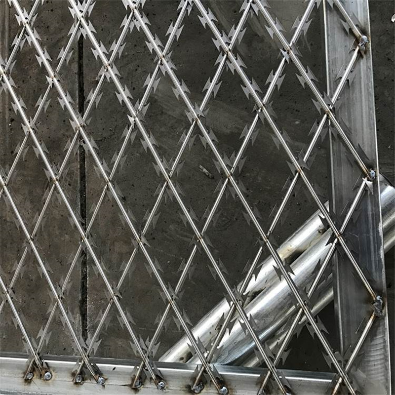 監獄刀片鋼網墻圖片3