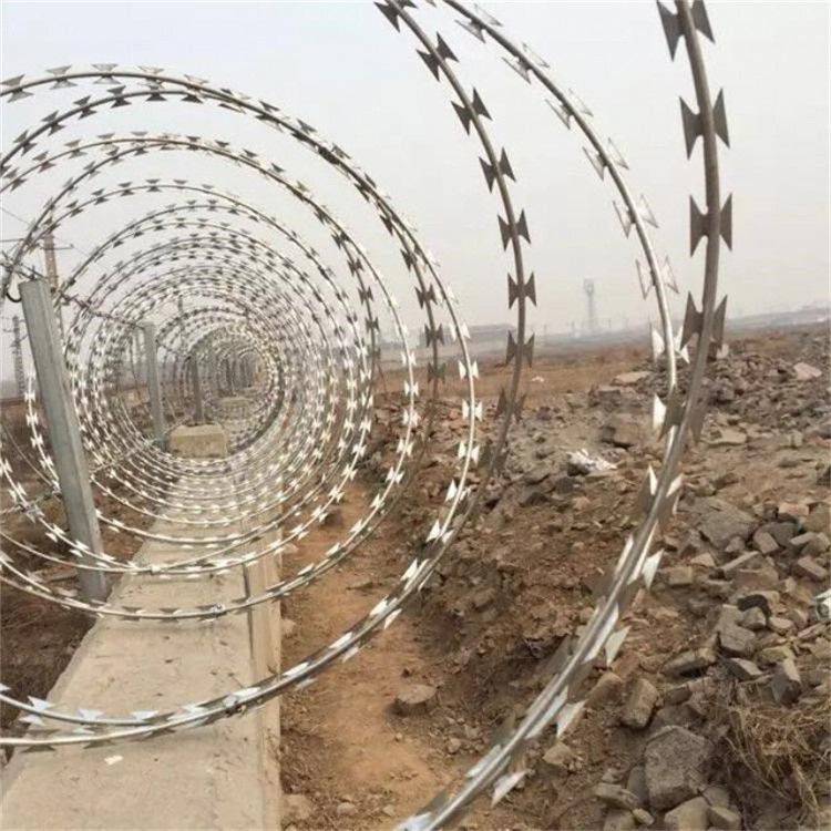 學校圍墻倒刺網圖片1