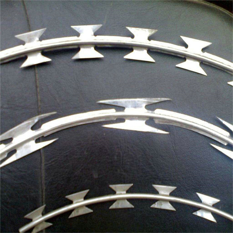 刀片刺繩護欄網圖片1 刀片刺繩護欄網圖片1