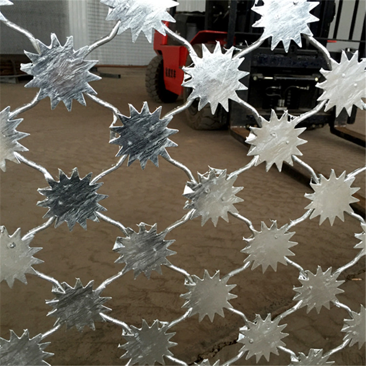 雪花刺片隔離網圖片2 雪花刺片隔離網圖片2