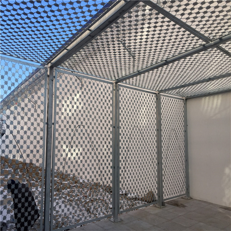 監獄梅花刺圍網圖片4 監獄梅花刺圍網圖片4