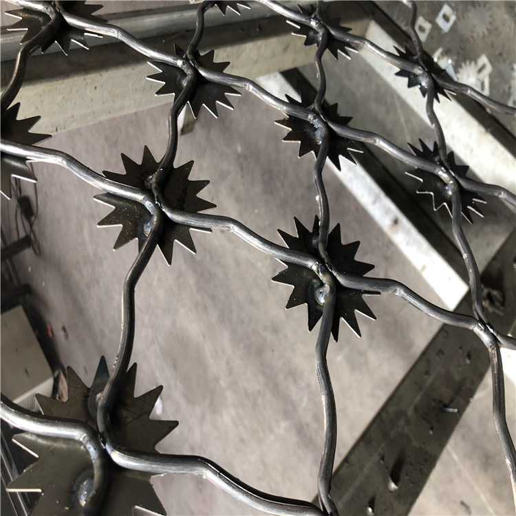 場地梅花刺圍網圖片4