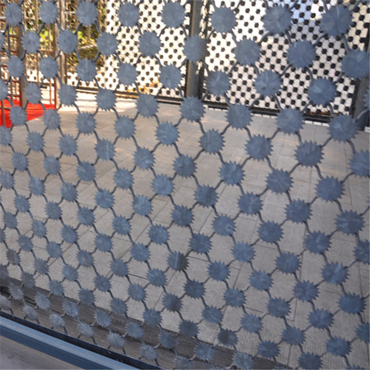 監(jiān)獄防逃脫隔離網(wǎng)圖片3 監(jiān)獄防逃脫隔離網(wǎng)圖片3