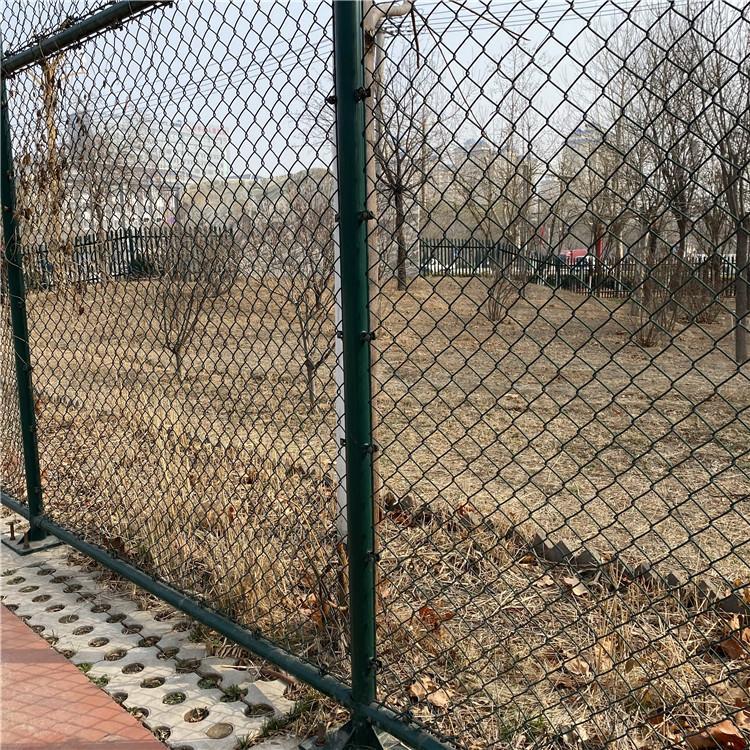 包塑防腐球場圍網圖片3