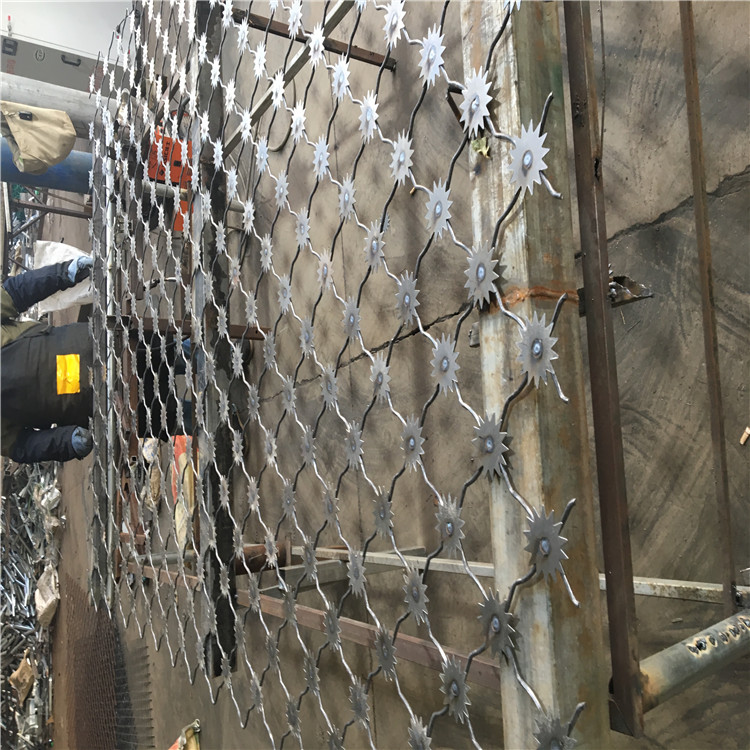 防攀爬梅花刺隔離網圖片3