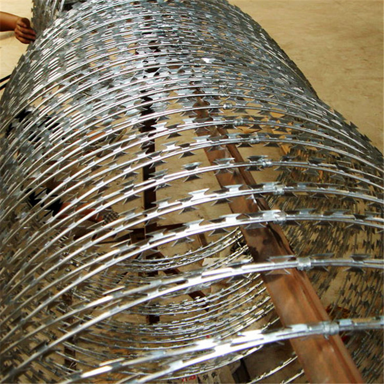 鍍鋅滾刀網(wǎng)圖片4 鍍鋅滾刀網(wǎng)圖片4