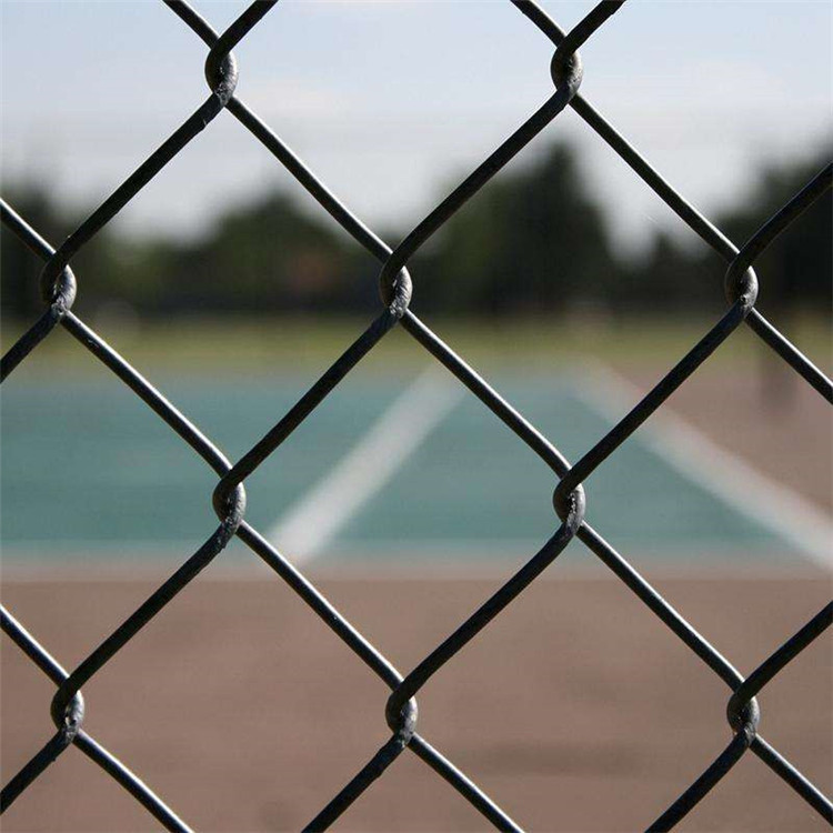 籃球場地圍網(wǎng)圖片3 籃球場地圍網(wǎng)圖片3